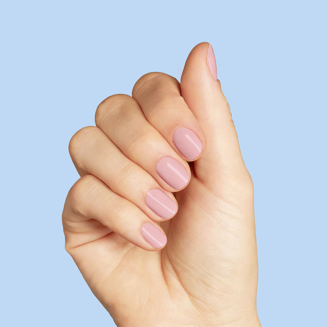 Fiber Matrix Bazė 